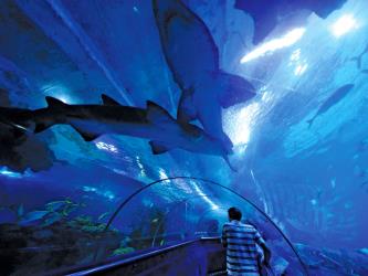 Aquaria KLCC