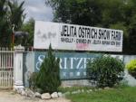 Jelita Ostrich Farm