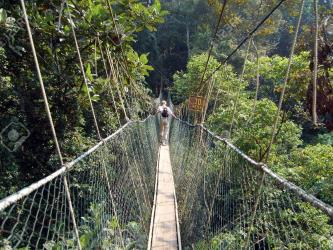 Taman Negara National Park