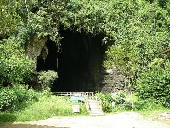 Gomantong Caves