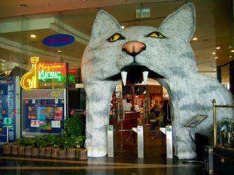 Cat Museum