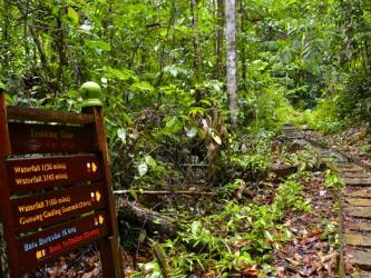Gunung Gading National Park