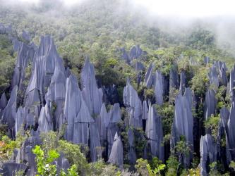 Gunung Mulu National Park