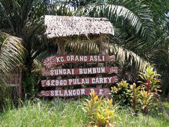 Pulau Carey