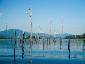 Kenyir Lake
